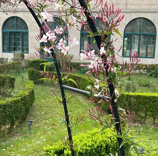 招待所 Casa Diocesana Via Lucis 2*